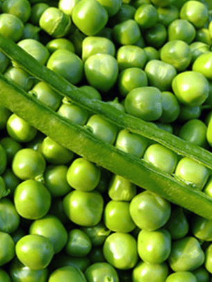 Semilla De Arveja Utrillo 250 Gr