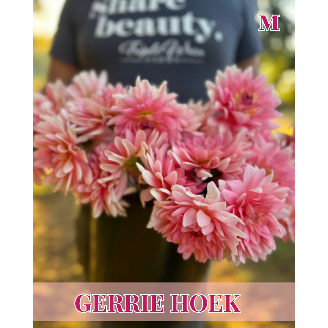 Raíz tuberosa de dalia Gerrie Hoek 1