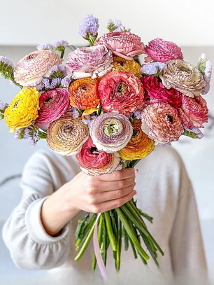 Rizoma Ranúnculo de corte Pastello Sriato Mix 2/3