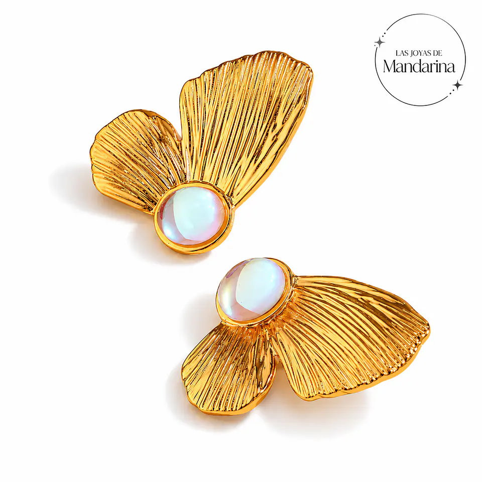 Aros de mariposa  1