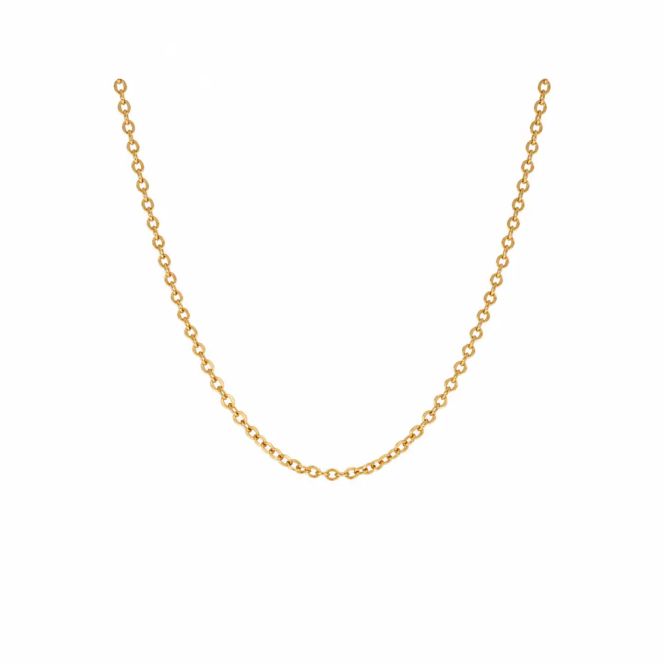 Collar Cadena Clásica Coin 45 cm 1