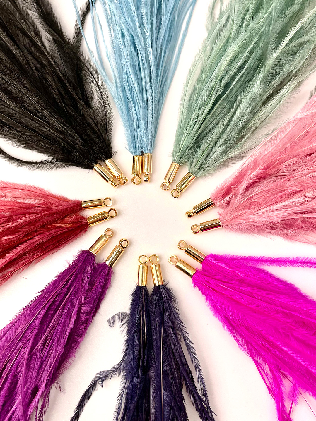 Plumas de Colores 1
