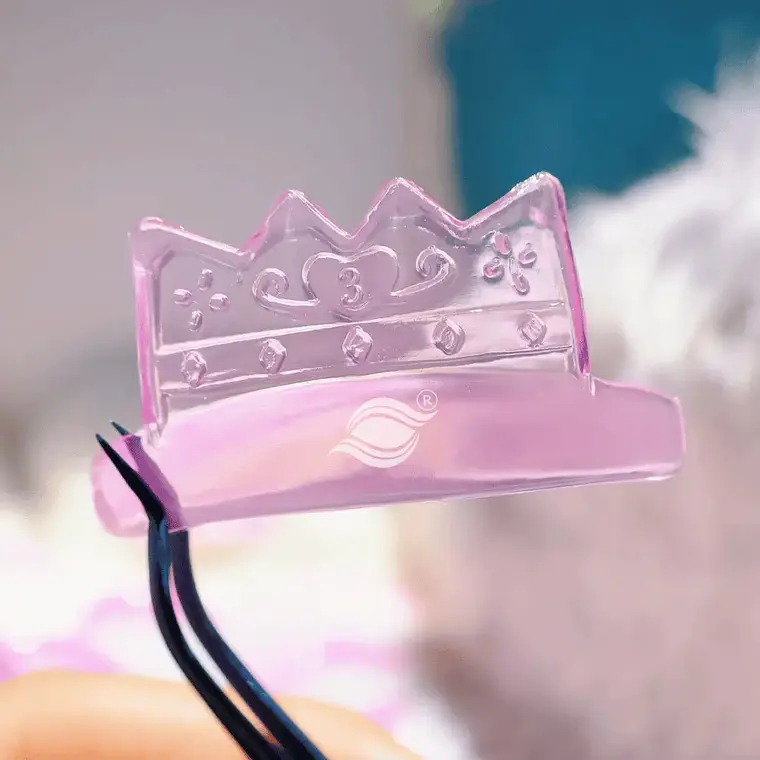 Bigudíes Crown 2
