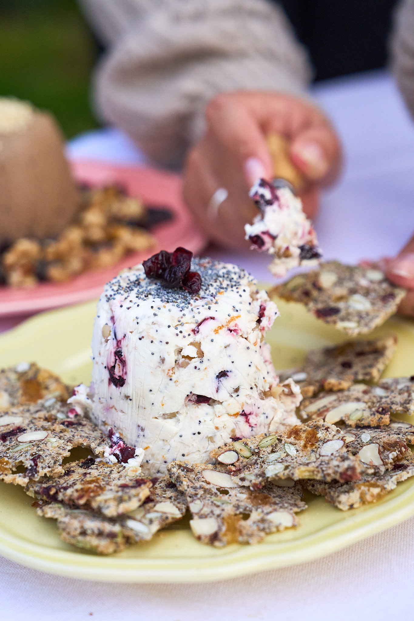 Queso cranberry y semillas