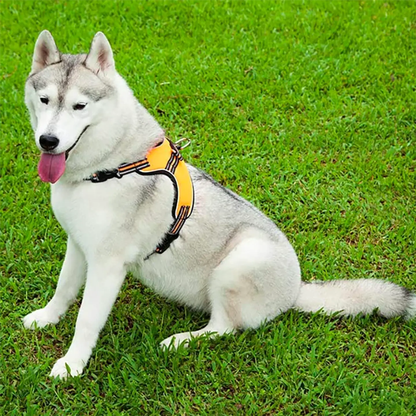 Dog Harness - Adjustable Reflective Vest with Handle 6