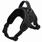 Dog Harness - Adjustable Reflective Vest with Handle - thumbnail 7