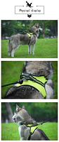Dog Harness - Adjustable Reflective Vest with Handle - thumbnail 13