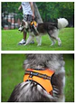 Dog Harness - Adjustable Reflective Vest with Handle - thumbnail 14