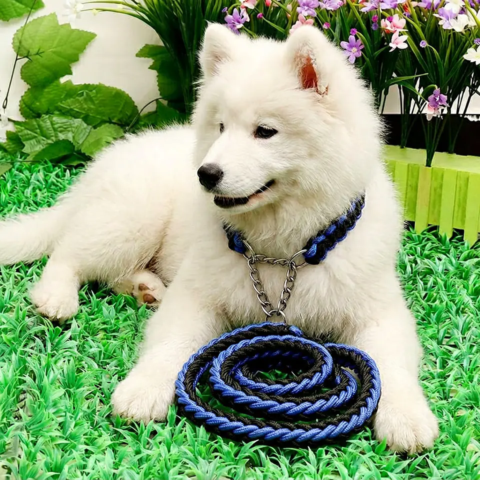 Braided Martingale Collar & Leash Set - 16 Colors! 2