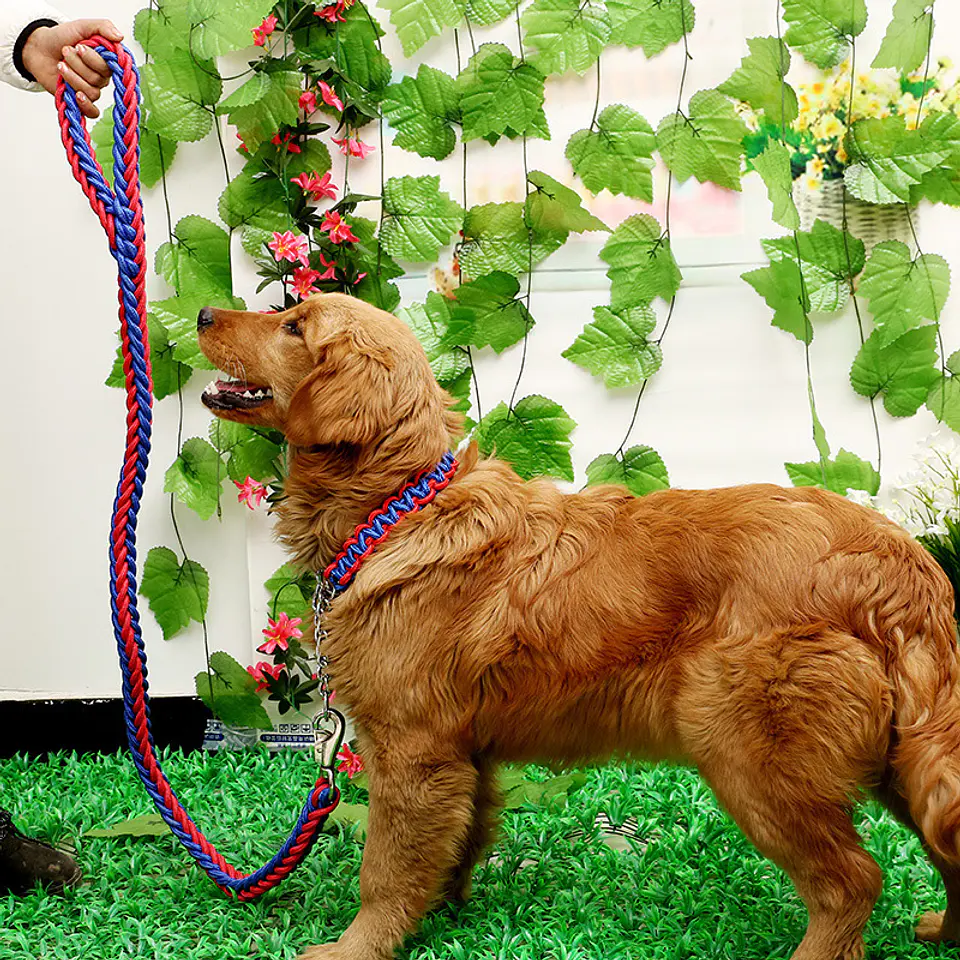 Braided Martingale Collar & Leash Set - 16 Colors! 5