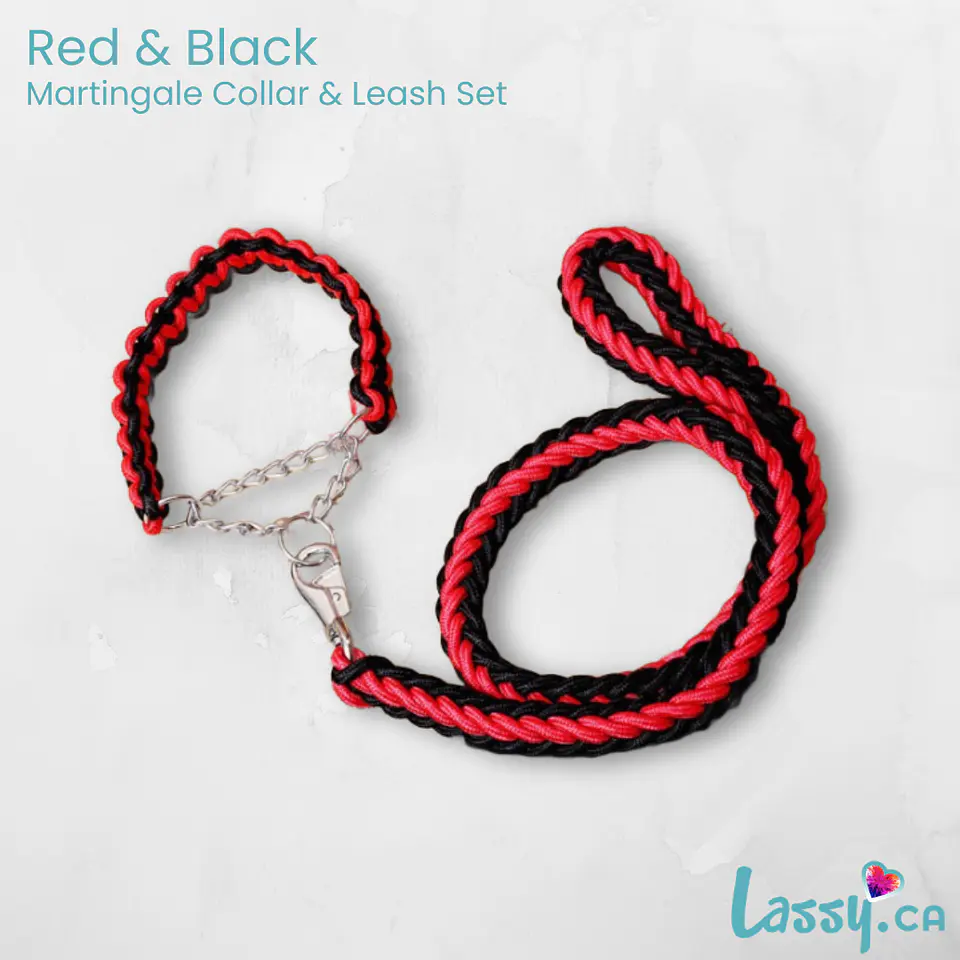 Braided Martingale Collar & Leash Set - 16 Colors! 9