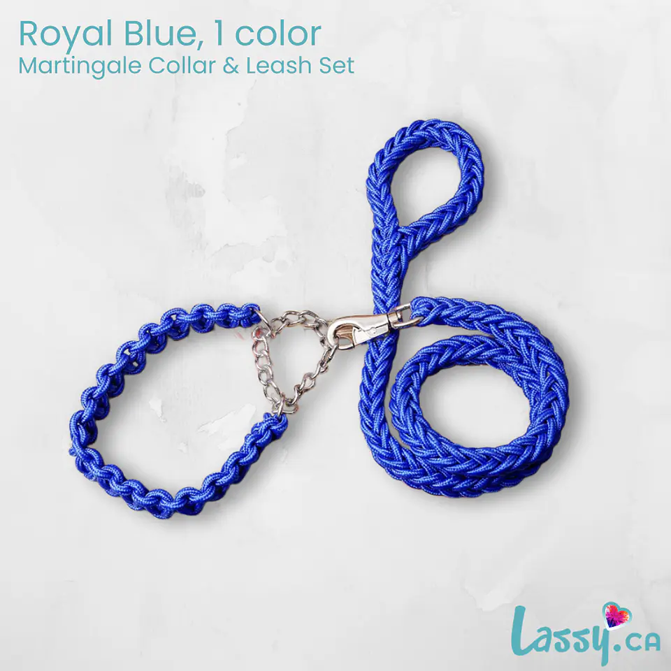 Braided Martingale Collar & Leash Set - 16 Colors! 10