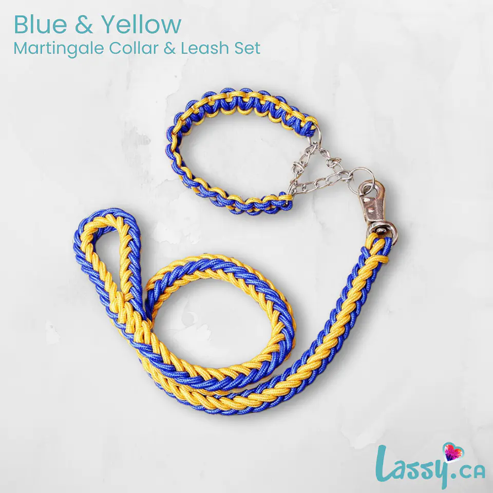 Braided Martingale Collar & Leash Set - 16 Colors! 12