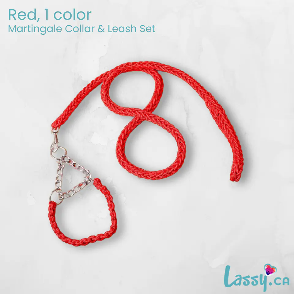 Braided Martingale Collar & Leash Set - 16 Colors! 14