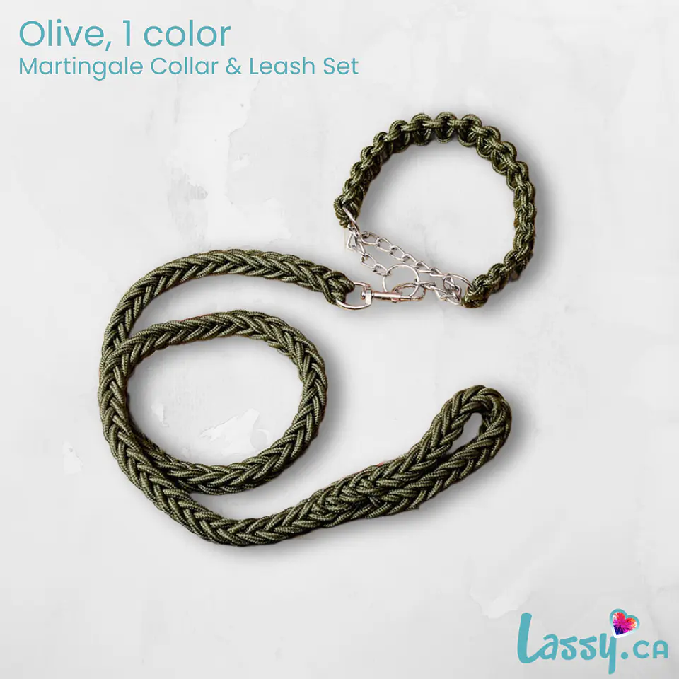 Braided Martingale Collar & Leash Set - 16 Colors! 15