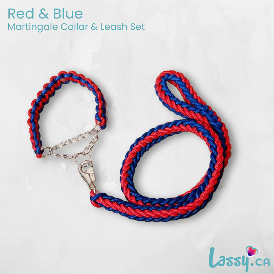 Braided Martingale Collar & Leash Set - 16 Colors! 17
