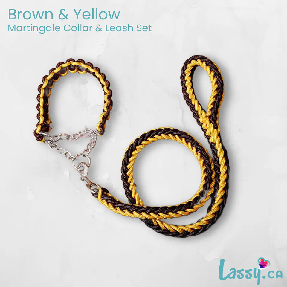 Braided Martingale Collar & Leash Set - 16 Colors! 18