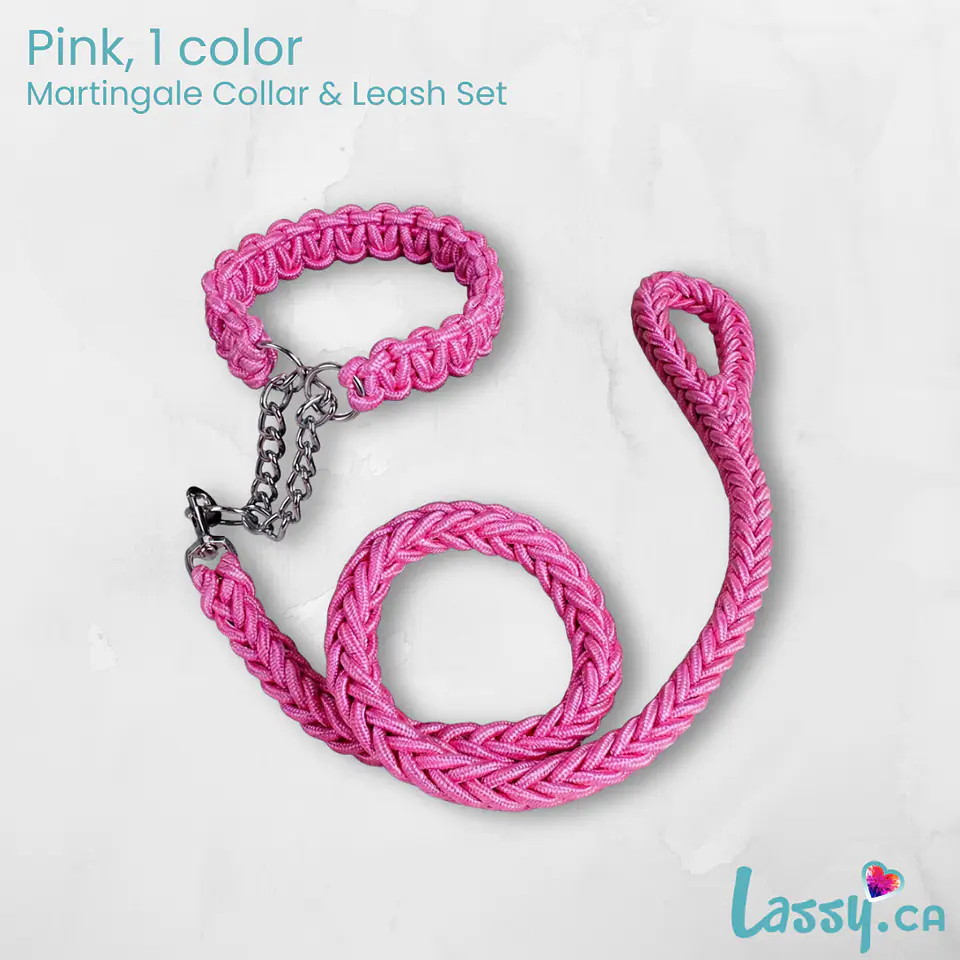 Braided Martingale Collar & Leash Set - 16 Colors! 19