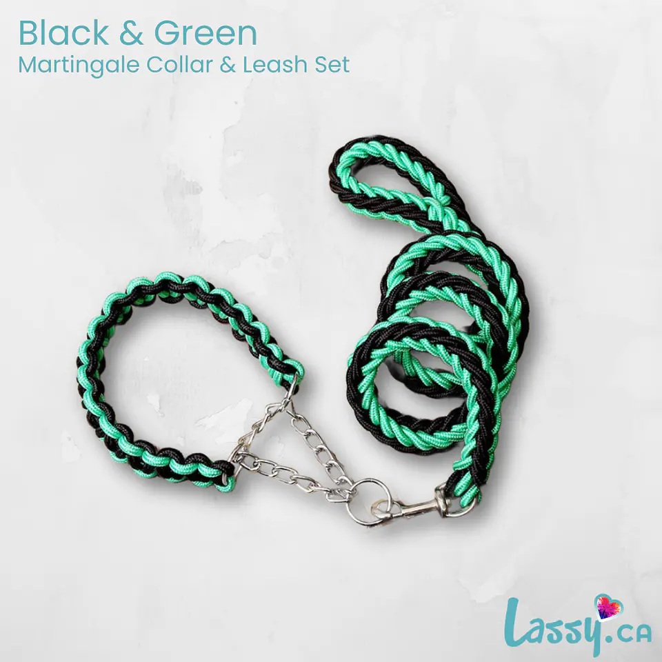 Braided Martingale Collar & Leash Set - 16 Colors! 20