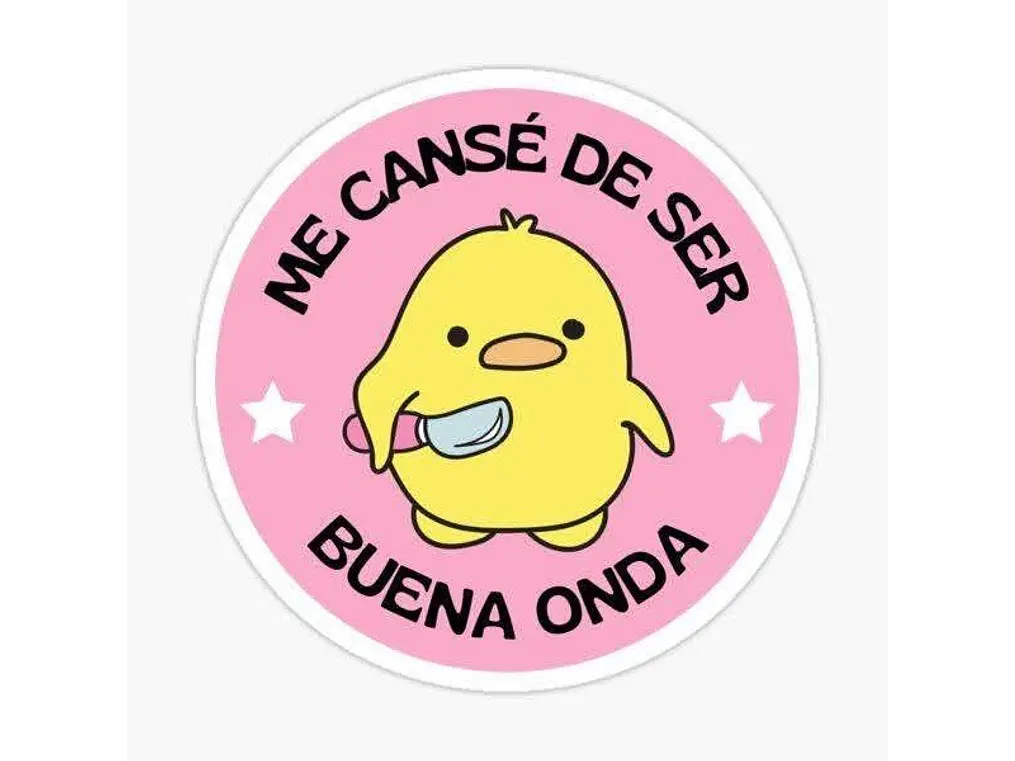 Me cansé de ser buena onda 1