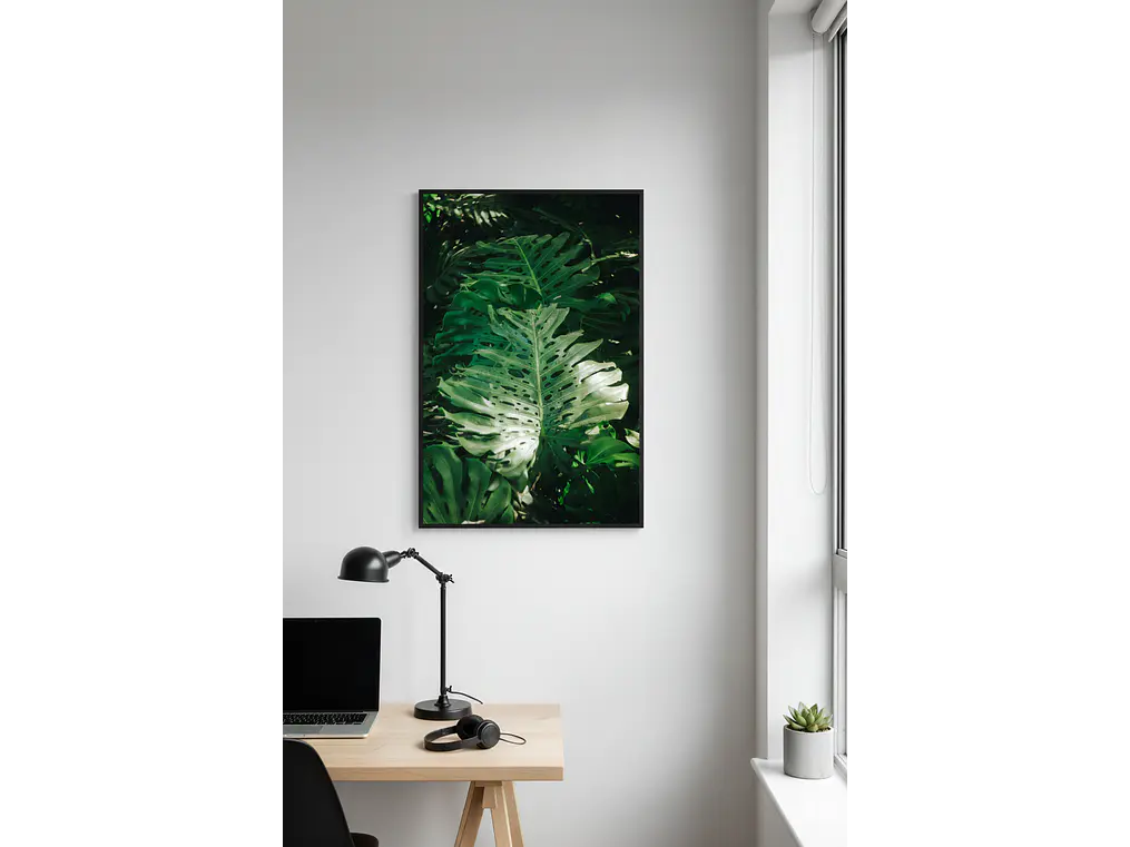 Poster Monstera Adansonii 2