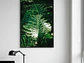 Poster Monstera Adansonii - Miniatura 2