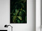 Poster Botánico: Sanchezia Speciosa - Miniatura 2
