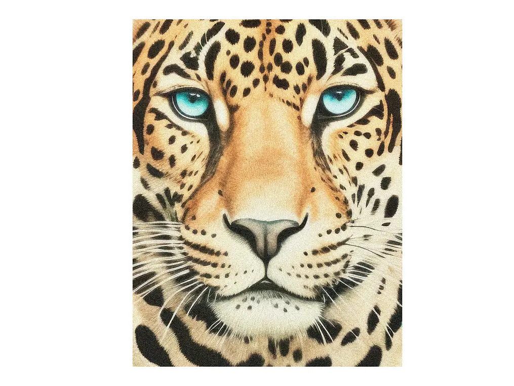 Tigre Full 1