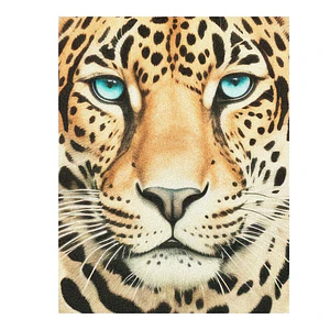 Tigre Full