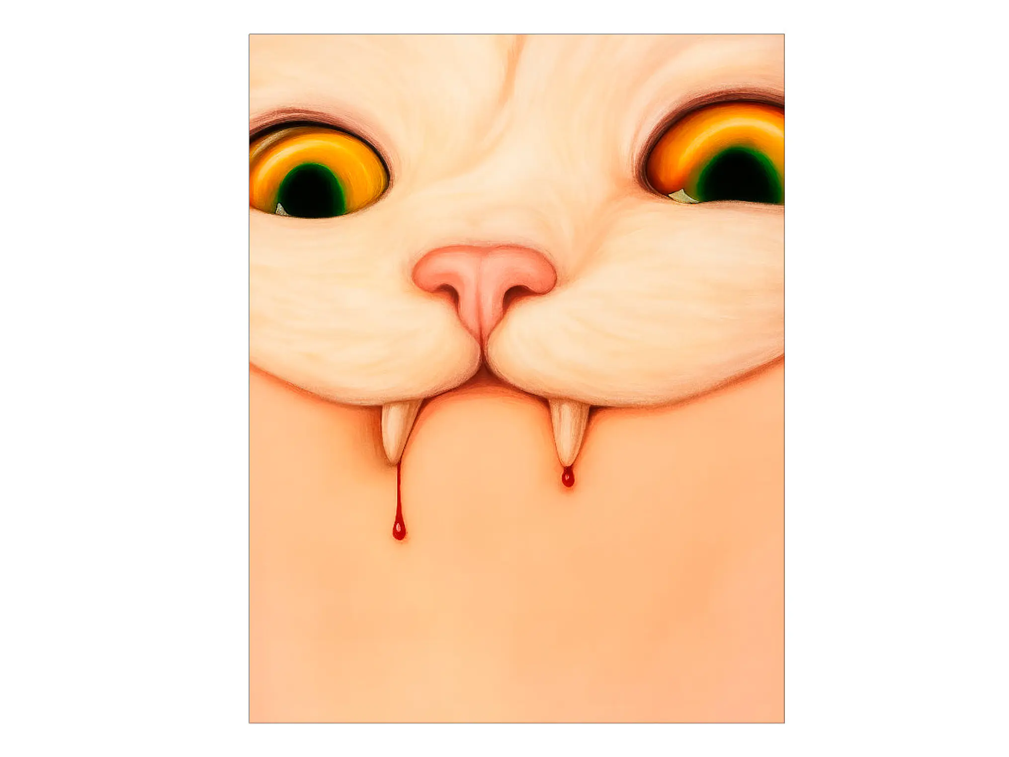 Gato Vampiro 1