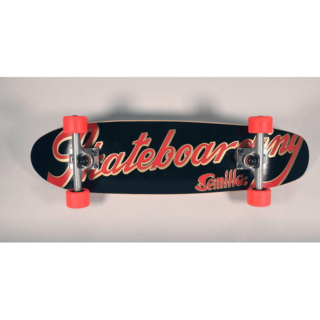 GRAN OFERTA SKATEBOARD CRUISER SEMILLA SKATEBOARDING