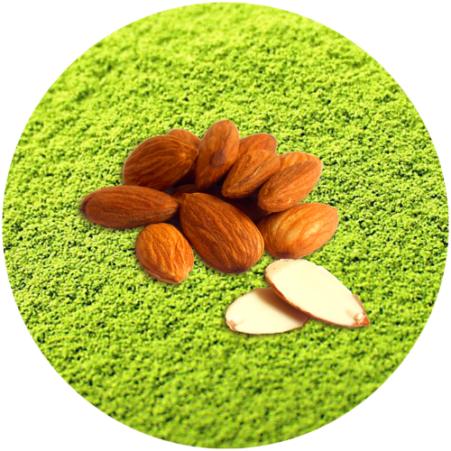 Matcha Latte Almendra