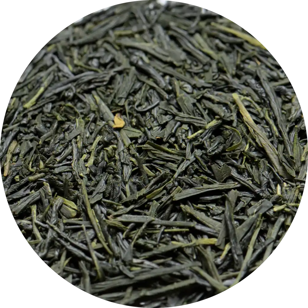Gyokuro Asahi