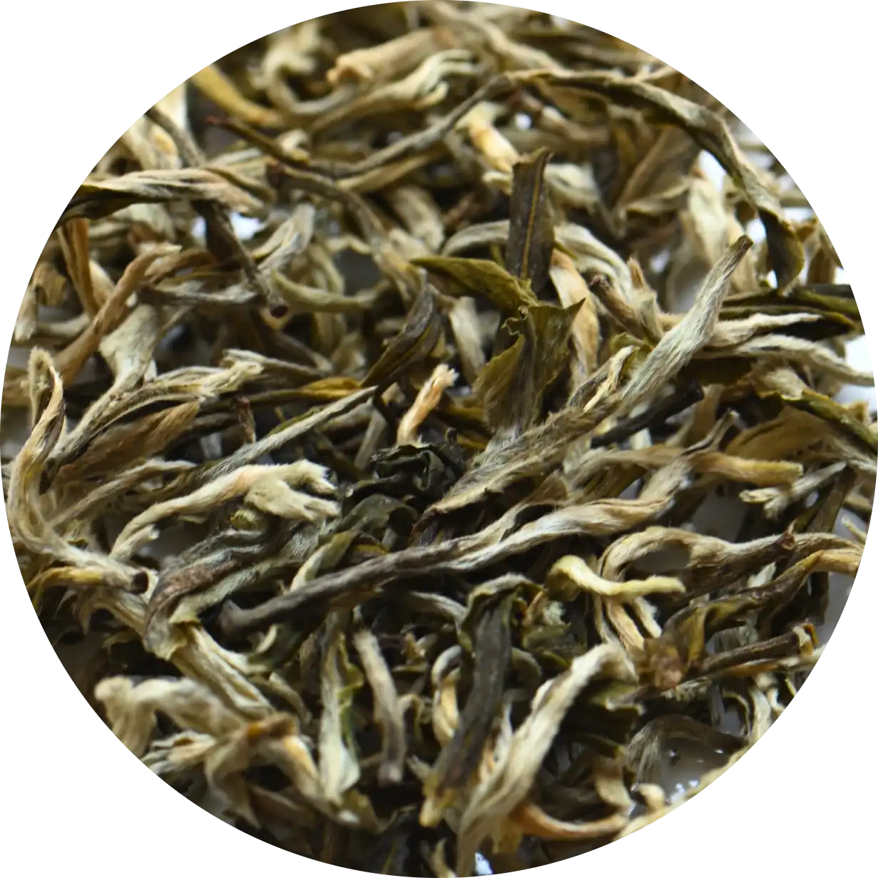 White Monkey Green Tea FOP