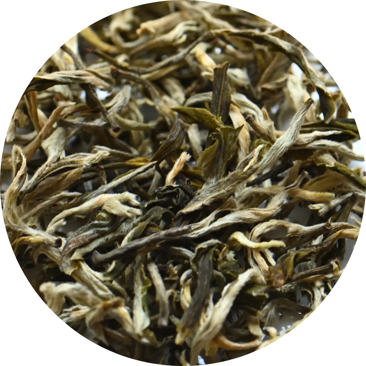 Té verde puro