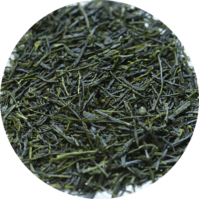 Gyokuro Suppin (Ganador del Gran Premio de Japón 2016)