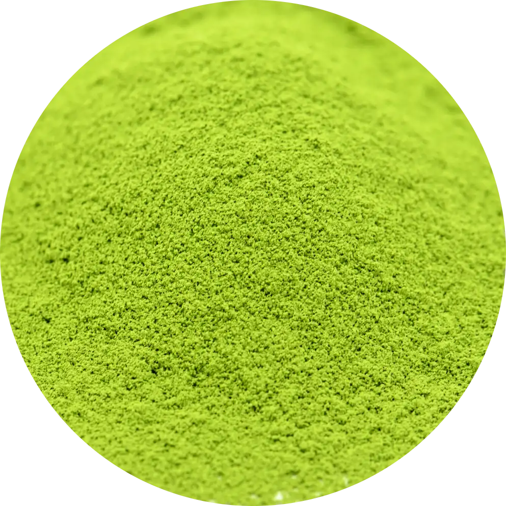 Matcha Yame Mokuren 木蓮 Japonés 100 g