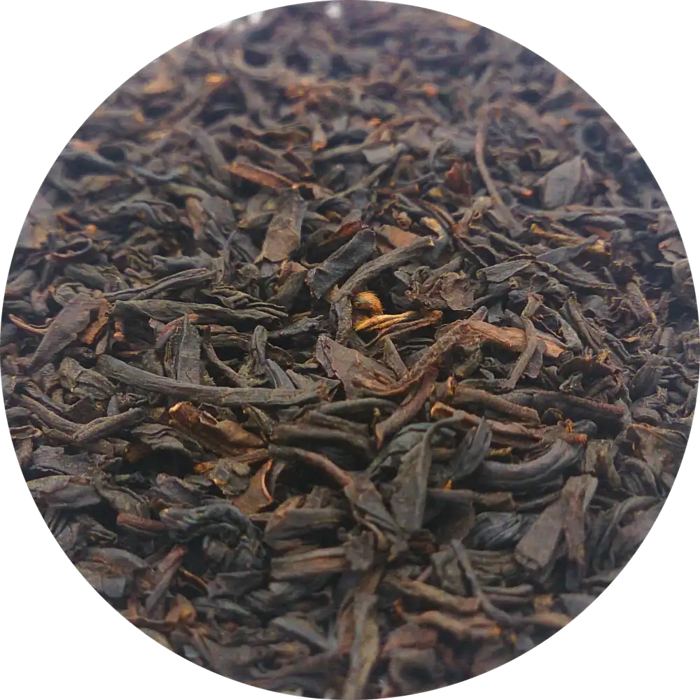 Vainilla Bourbon
