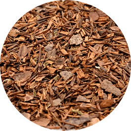 Rooibos Chocolate Menta