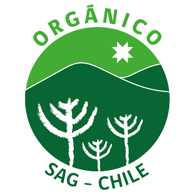 Boldo orgánico, boldo de Chile