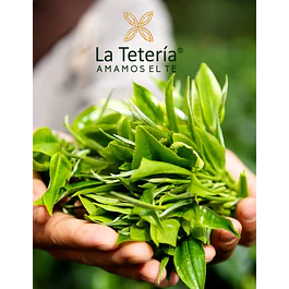 Tarjeta de regalo - Gift Card