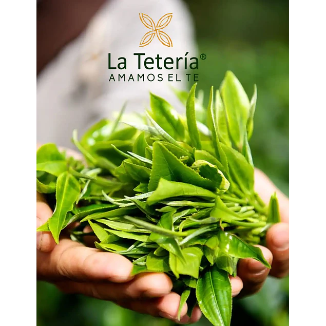 Tarjeta de regalo - Gift Card