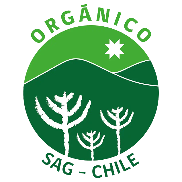 Chai Masala orgánico - Manekineko Dorado - 100g