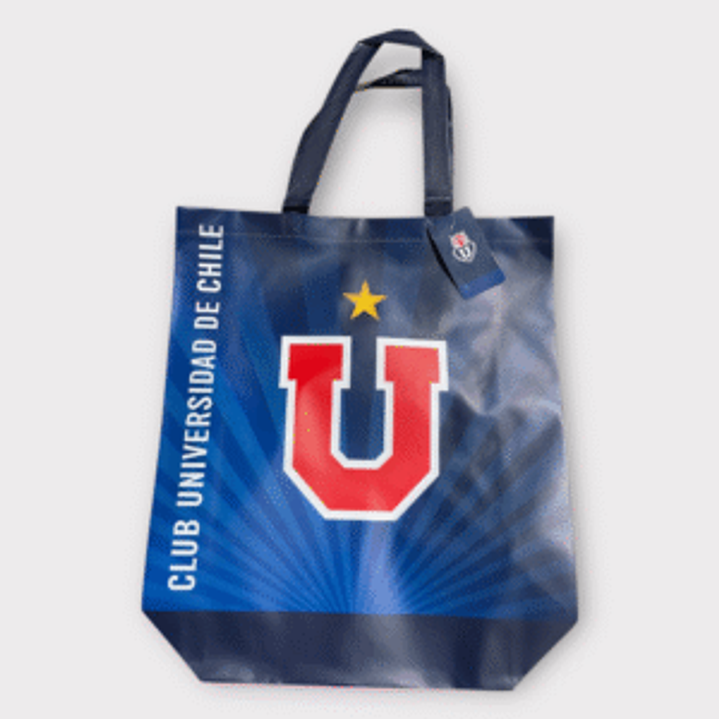 bolsa universidad de chile  1
