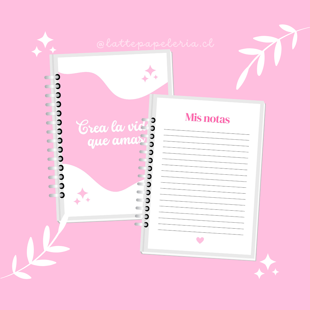 Agenda Planificadora 6