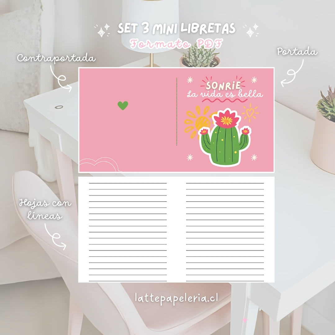 Set 3 Mini Libretas Formato PDF 2