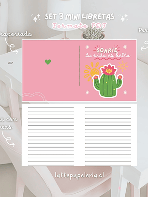 Set 3 Mini Libretas Formato PDF
