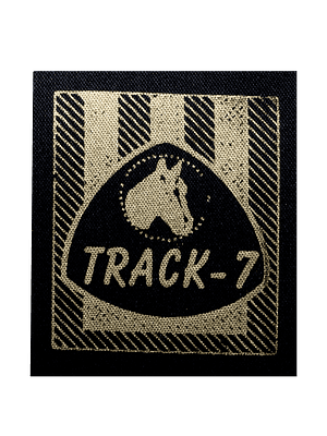 Cinta poliéster negro