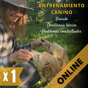 Adiestramiento canino (ONLINE)