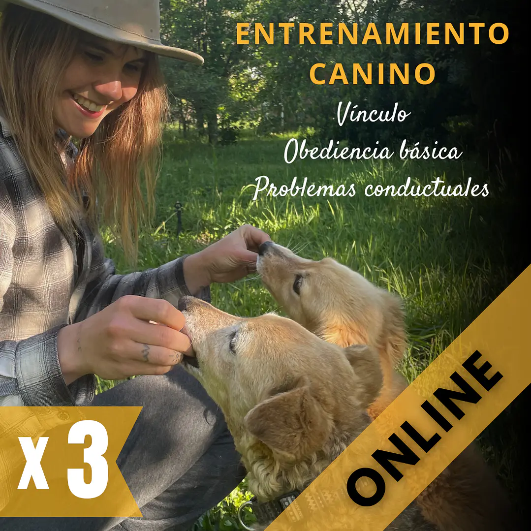 PACK 3 ASESORÍAS: Adiestramiento canino (ONLINE) 1